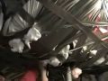 Duck Taped to Ceiling
