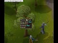 yew bug in runescape