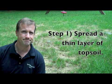 how to treat lm grass