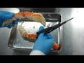 蟹のさばき方~タラバガニ足の簡単な剥き方動画 タラバガニ