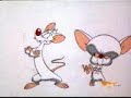 Animaniacs – The Hello Song