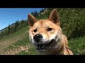 Sourthdough Gap Hike - Chinook Pass - Washington Hiking Best