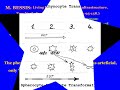 Electron microscope  images of Red Blood Cells  Transformation.mp4
