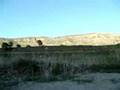 OLTAYLA BALIK AVI 2 (20-04-2008)