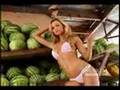 Maxim: Miss Maxim 2006