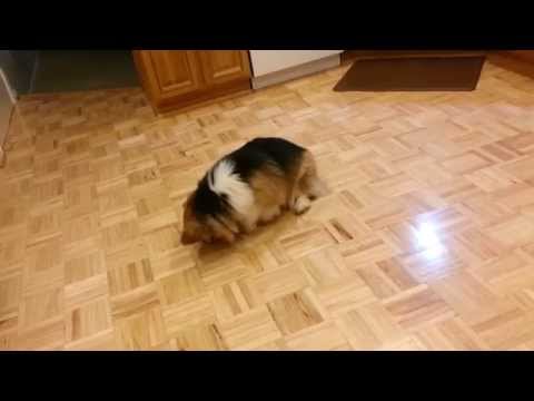 Play YouTube video