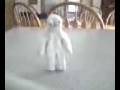 videos de movie1.3g2
