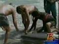 Shark Bite Recorded Live on the Beach