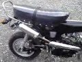Voici mon Dax presque d'origine, seul les bavettes avant et arrière (anti éclaboussures) on été retirée car c'est vraiment pas beau! lol et le moteur d'origine de 125cc 8,5cv a été remplacer par un Bidalo 125cc de 12cv, et le pot est celui d'une dirt bike.