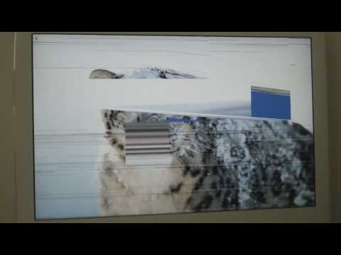 Late 2006 iMac graphics problem, system freezes