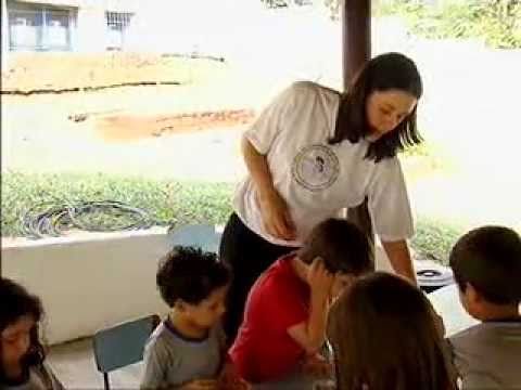 Natureza e Sociedade