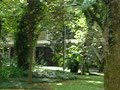 Ibirapuera park