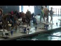 Indian swimming Sensation Agni winning in the USA