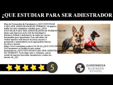 Cursos Youtube Online Euroinnova Cursos Youtube Online Euroinnova