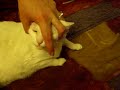 Casper Pill 101