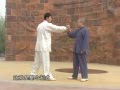 Yang Tai Chi combat tutorial