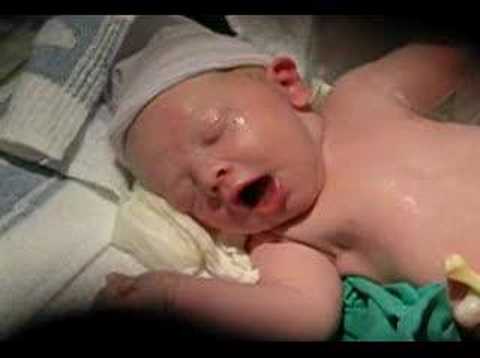 Nicholas Edward Bailey III