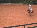 2 yr old filly