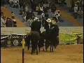 Tunja 2008 Exposici�n Equina Grado A (2� parte)