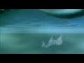 The last unicorn -- On man's road