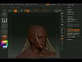 Zbrush (Hair and Vines) Zbrush (Hair and Vines)