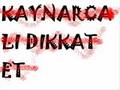narkoo SANAL İSYAN