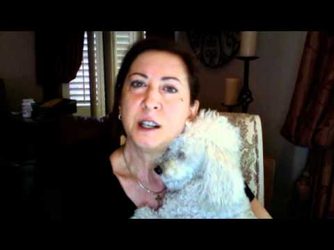 how to relieve my dogs arthritis