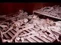 rwandan genocide
