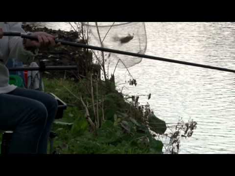 sportvissen -