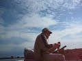 baars en snoek baars en snoek