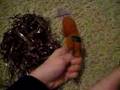 chewbacca
