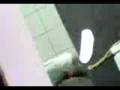 videos de Plantillas Beltrame