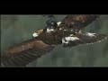Caméra embarquée sur un aigle Caméra embarquée sur un aigle