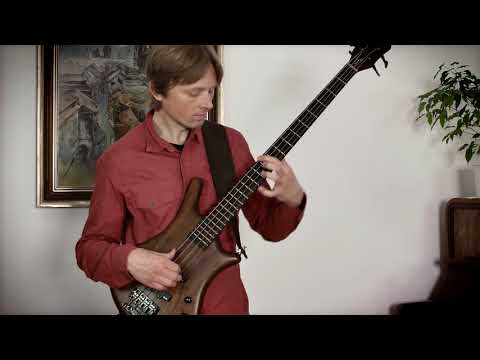 Tomáš Kedzior - baskytara - Tomáš Kedzior (bass) - DARU