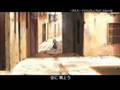 ねこねこソフト動画8