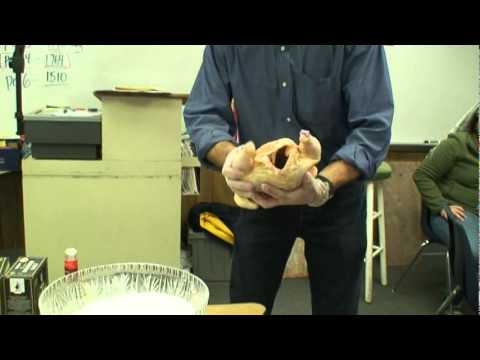 Mummification - A demonstration of the concept of Egyptian mummification by using a chicken, kosher salt, rock salt, and baking soda. Filmed during an Ancient Egypt simulati...