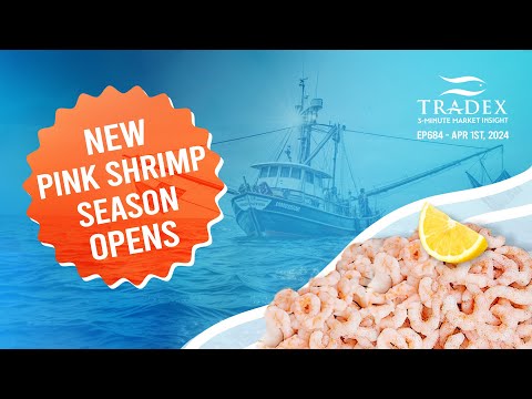 3MMI - Pink Shrimp Season Opens: Lower Landings Forecasted could Lead to Upward Price