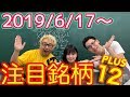 【株Tube EXTRA#25】2019年6月17日～の注目銘柄PLUS12