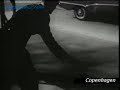 Copenhagen police helping ducks over street