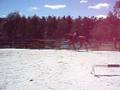 videos de Warmblood (sire: GAINSBOROUGH DONNER-DUCC) x Tb (Lunchtime)