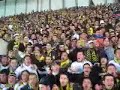 FENERBAHCE fans, Crazyness!