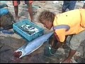 Planeta Tierra Cabo Verde Isla Sal.