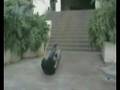 videos de petach tikva shit