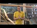 Video ansehen