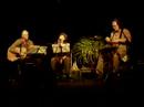 pino-danielequesta-primavera.html