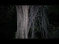 Video JURNAL ASIH Video JURNAL ASIH