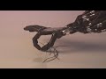 Shadow Robot Hand Manipulation Shadow Robot Hand Manipulation