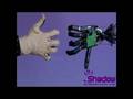 Shadow Robot Hand Manipulation