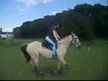 Jenna - pony games