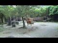 CLIP0060